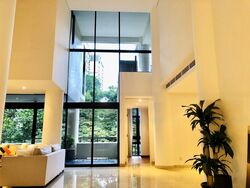 The Colonnade (D10), Condominium #496348091